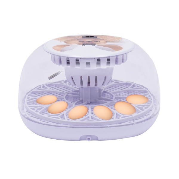 Egg Incubator Temperature Control Hatching Machine Automatic Incubator with Reasonable Grid  Large Capacity for Chicken Eggs 12 Eggs