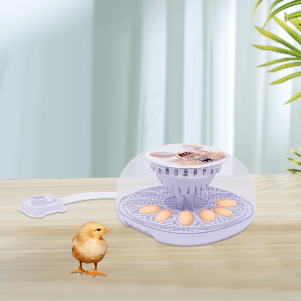 Egg Incubator Temperature Control Hatching Machine Automatic Incubator with Reasonable Grid  Large Capacity for Chicken Eggs 12 Eggs