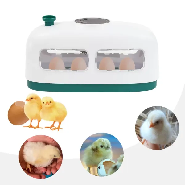 Automatic Digital Egg Incubator with Monitoring Candler, Intelligent Temperature Control Automatic Digital Egg Incubator with Monitoring Candler, Intelligent Temperature Control