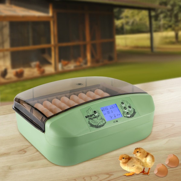 Fully Automatic Incubators 32 Egg Incubators Automatic Incubator for Chickens at Home - Egg Incubator