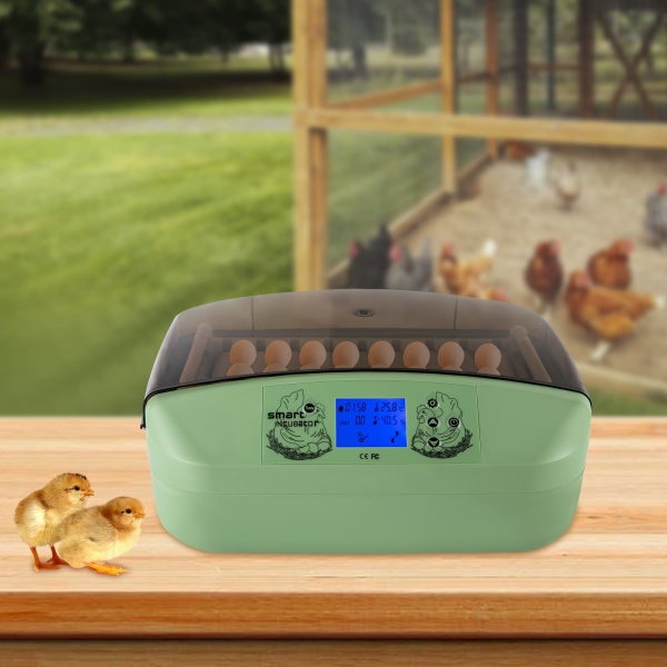 Fully Automatic Incubators 32 Egg Incubators Automatic Incubator for Chickens at Home - Egg Incubator