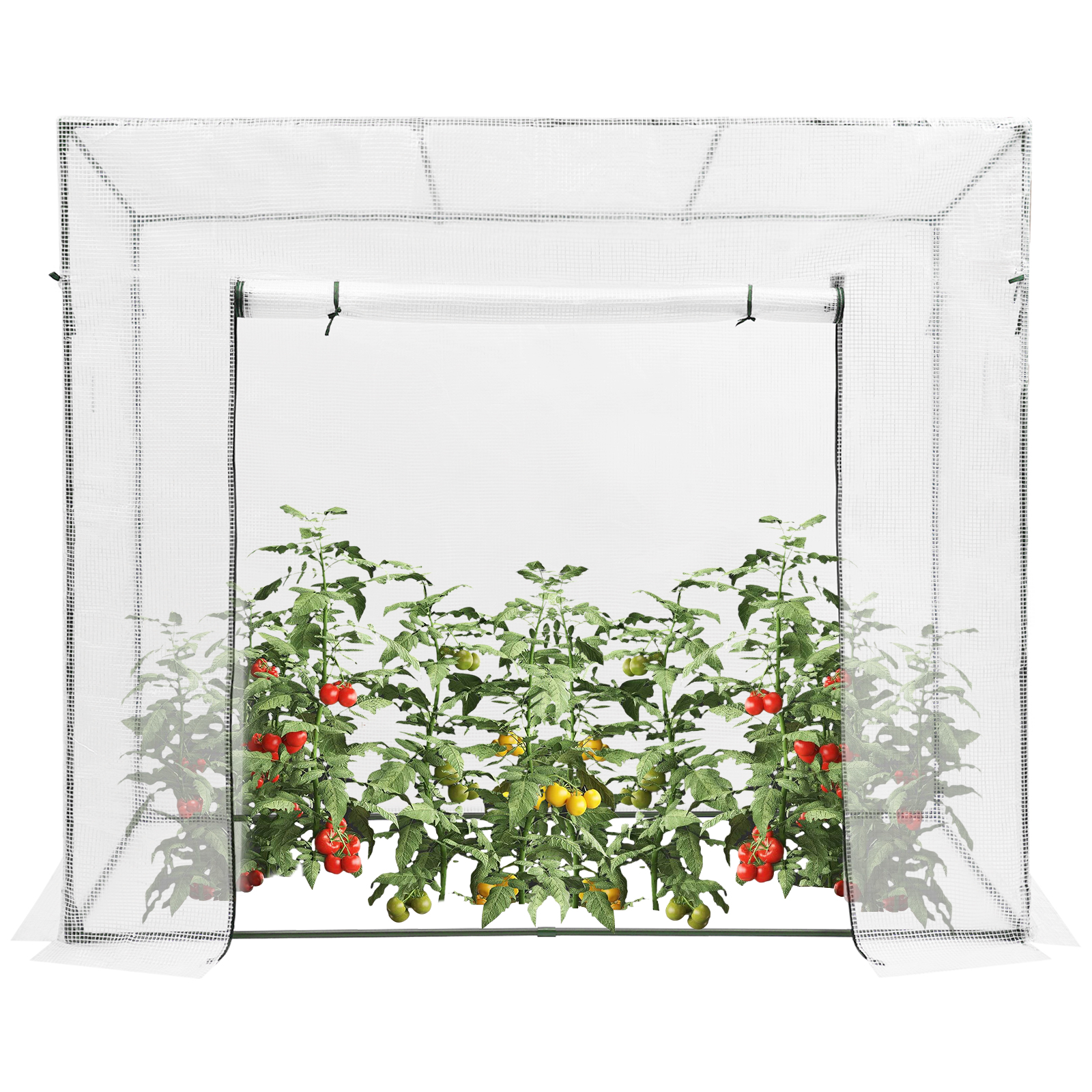 200x77x170cm Plant Green House, Green House Kit with Window, Greenhouse for Outdoors - White